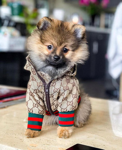 Dog Hooded Jacket