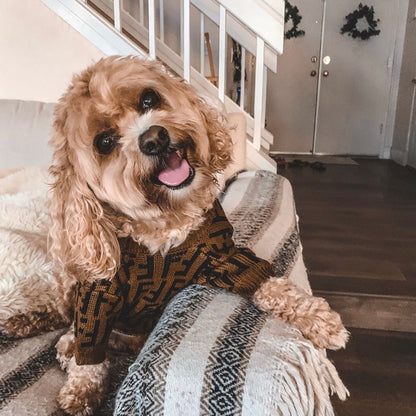 Pendi Chic Canine Sweater Collection