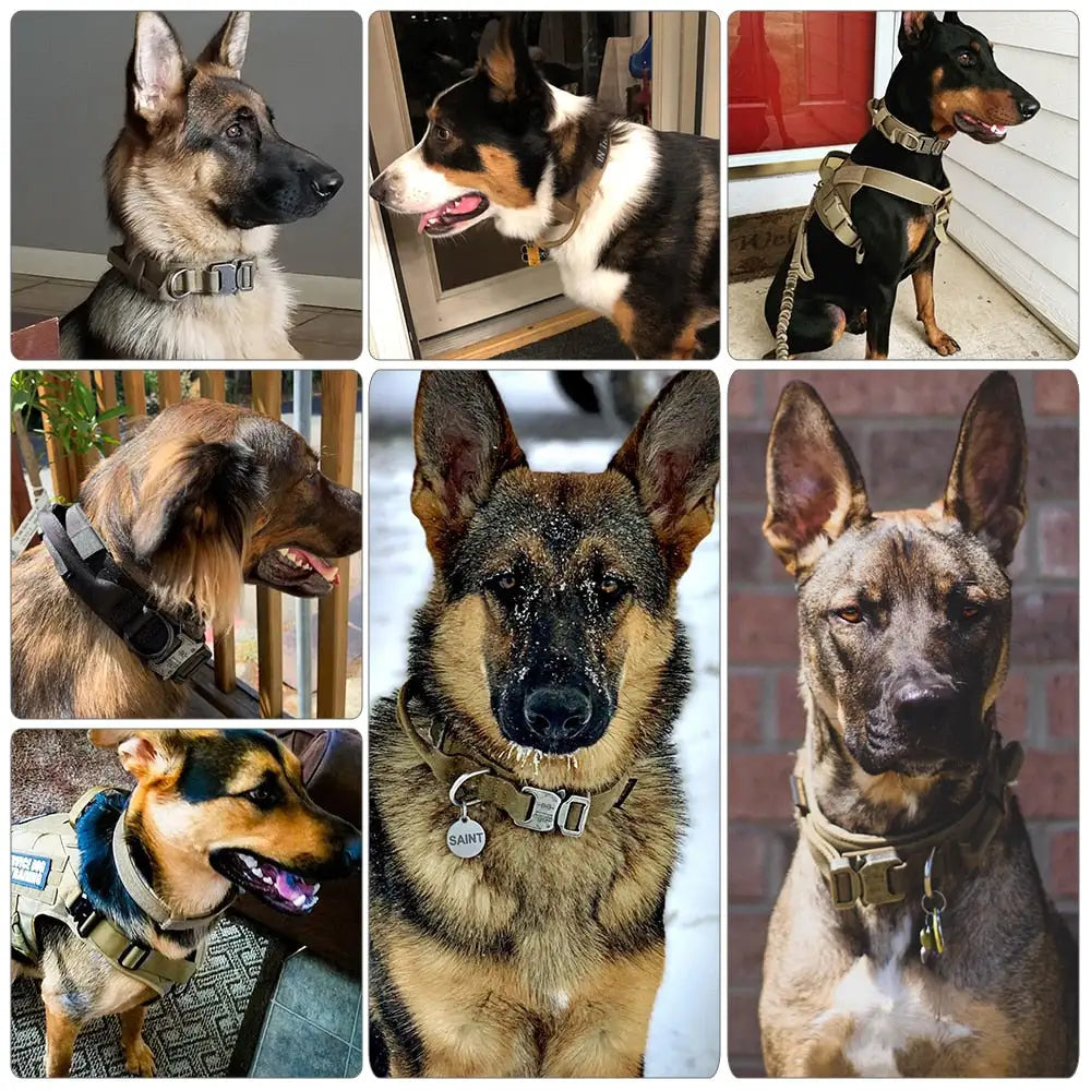 Doggie Deluxe™ Premium Training Collar